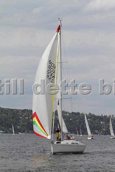 Bundefjorden2012 242.jpg